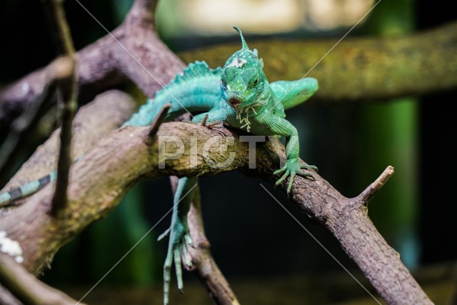 写真のタイトルが入ります