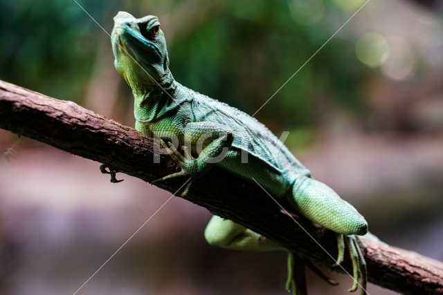 写真のタイトルが入ります