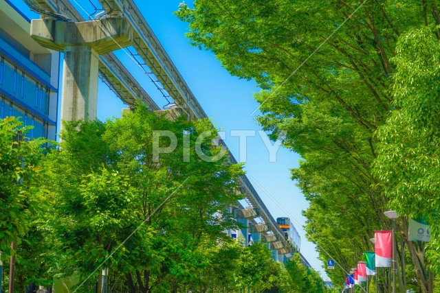 写真のタイトルが入ります
