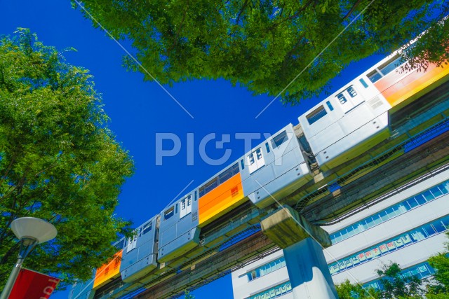 写真のタイトルが入ります