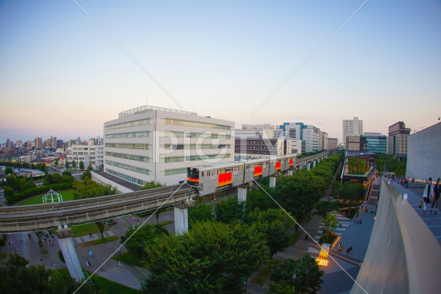 写真のタイトルが入ります