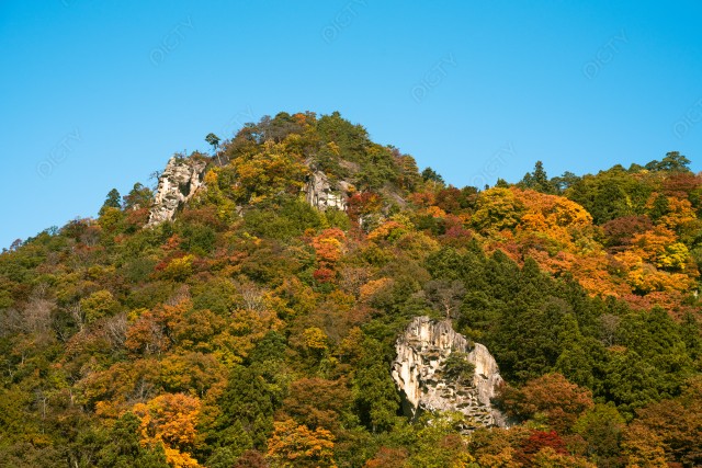 写真のタイトルが入ります