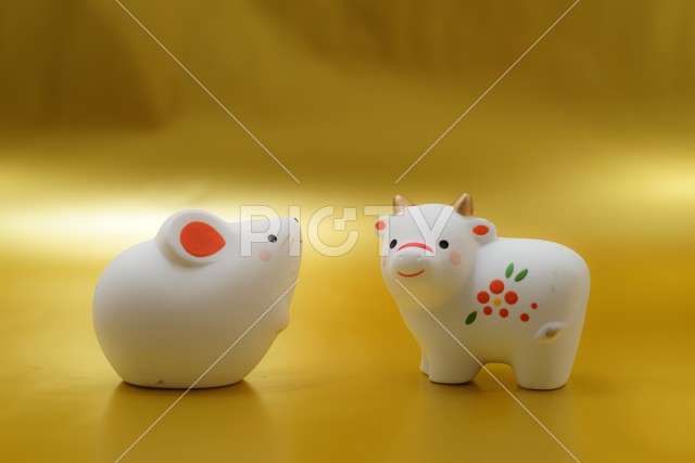 写真のタイトルが入ります