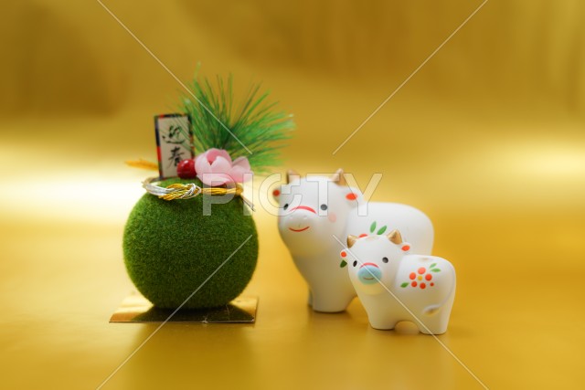 写真のタイトルが入ります