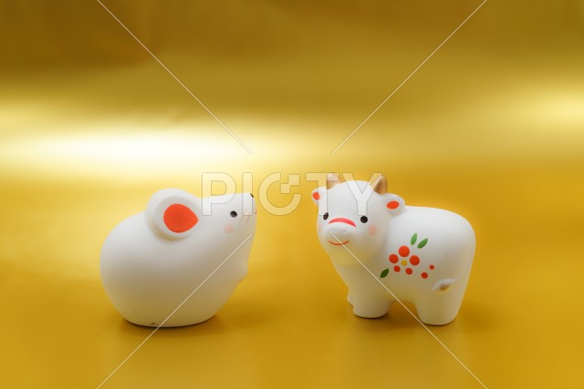 写真のタイトルが入ります