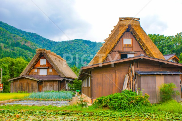 写真のタイトルが入ります