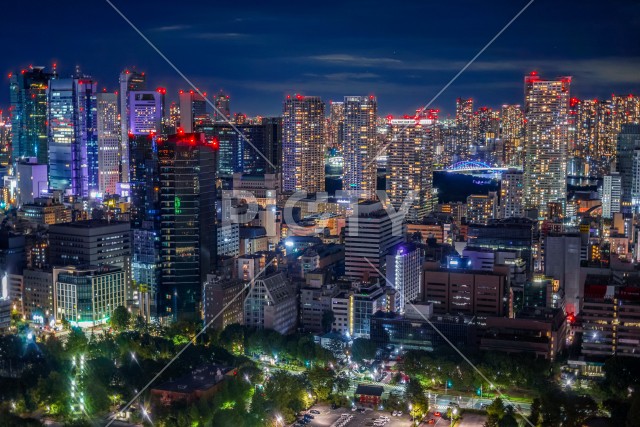東京タワーから見える東京夜景