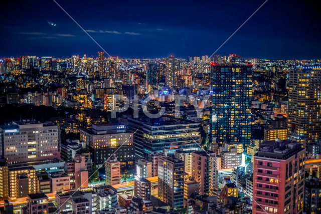 東京タワーから見える東京夜景