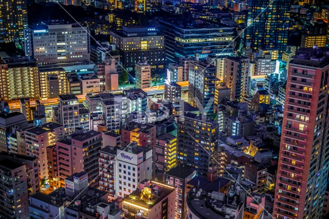 写真のタイトルが入ります