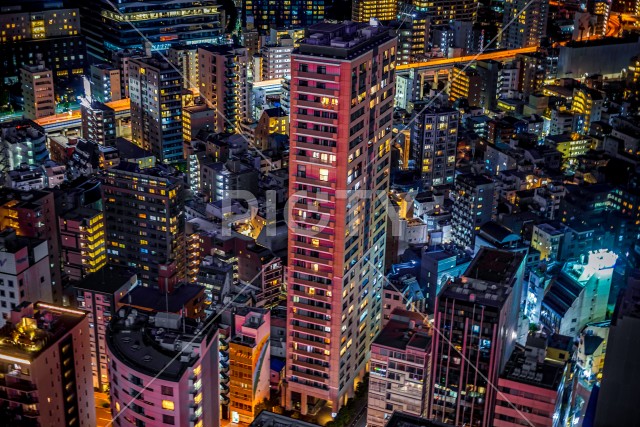 写真のタイトルが入ります