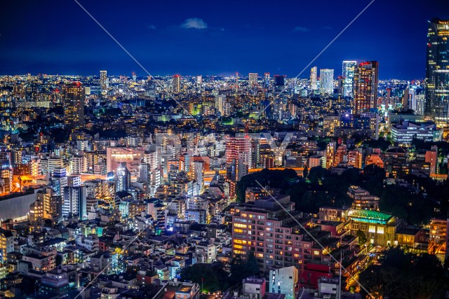 東京タワーから見える東京夜景