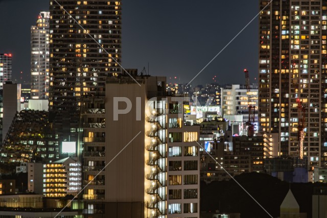 写真のタイトルが入ります