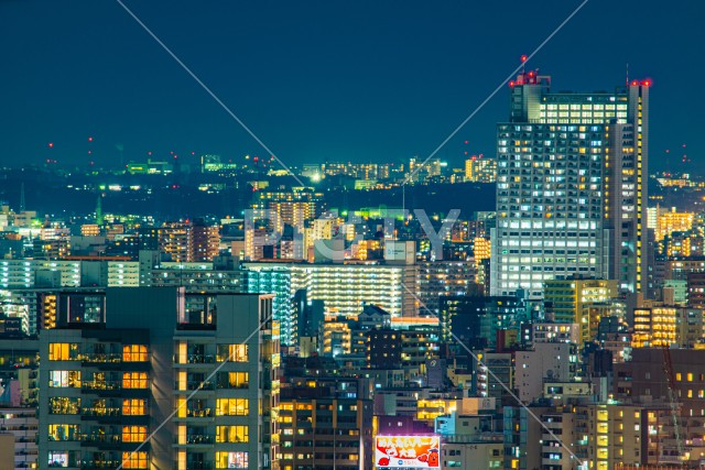 写真のタイトルが入ります