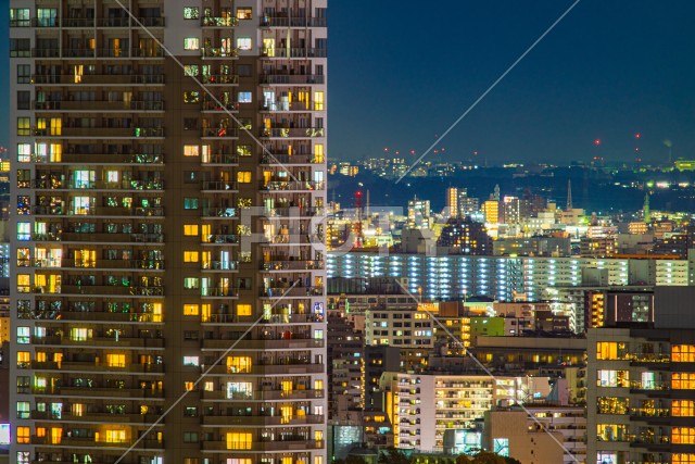 写真のタイトルが入ります