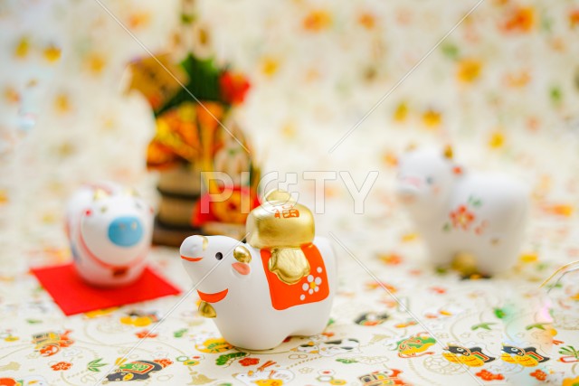 写真のタイトルが入ります