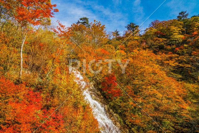 しゃくなげの滝と紅葉（四万湖）