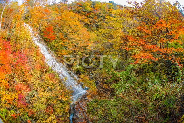 しゃくなげの滝と紅葉（四万湖）