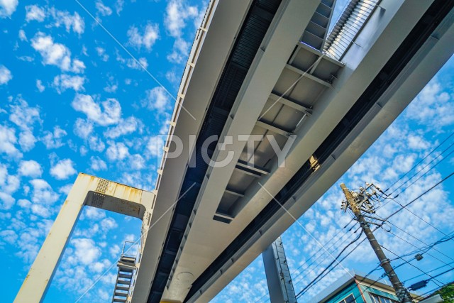 写真のタイトルが入ります