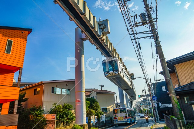 写真のタイトルが入ります