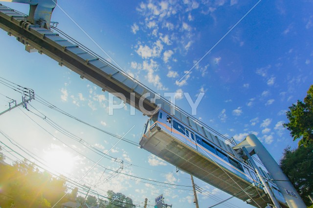 写真のタイトルが入ります