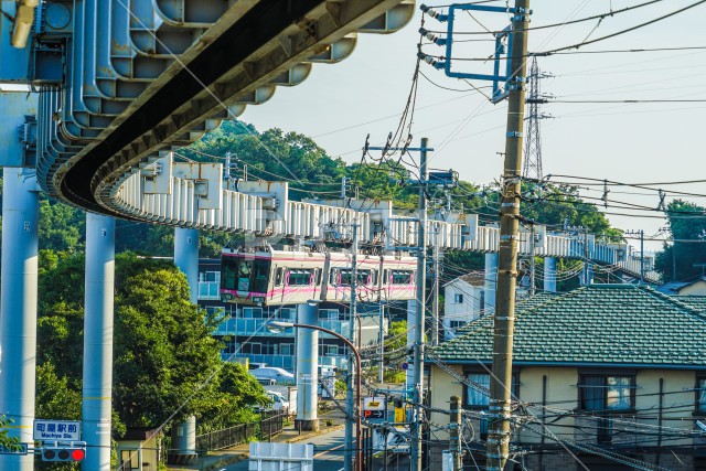 写真のタイトルが入ります