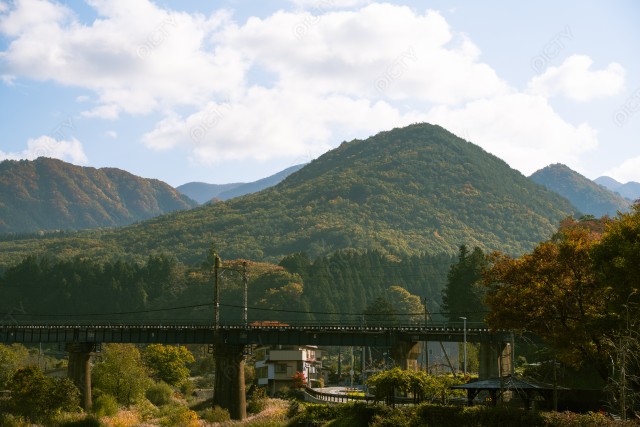 写真のタイトルが入ります