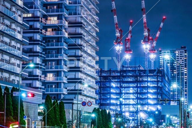 写真のタイトルが入ります