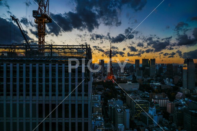 写真のタイトルが入ります