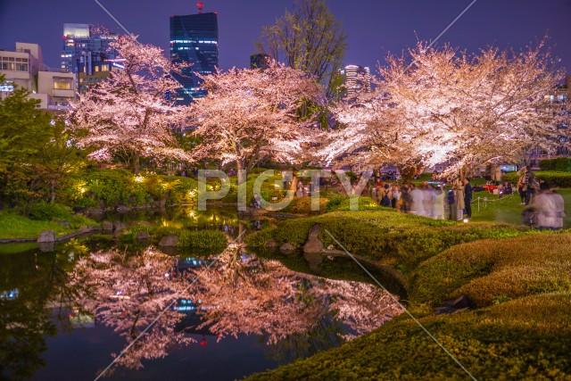 写真のタイトルが入ります