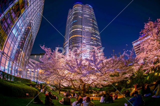 写真のタイトルが入ります