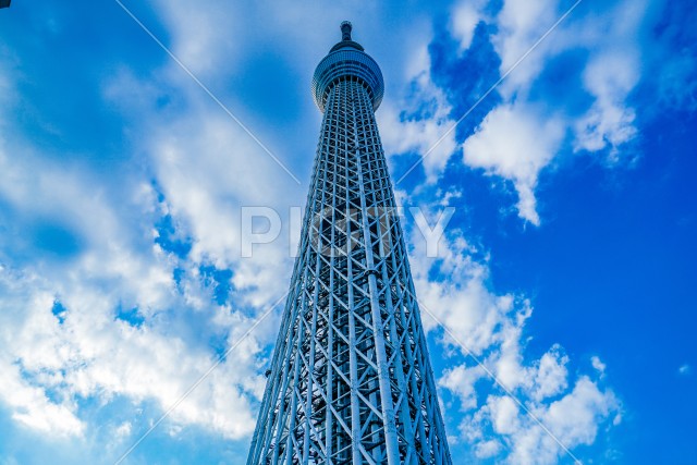 東京スカイツリーと晴天の空