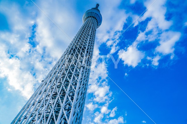 写真のタイトルが入ります
