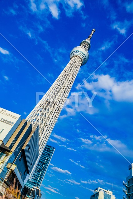 東京スカイツリーと晴天の空