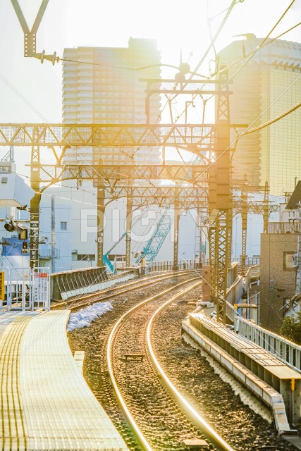 写真のタイトルが入ります