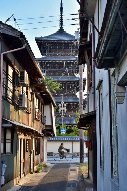 写真のタイトルが入ります