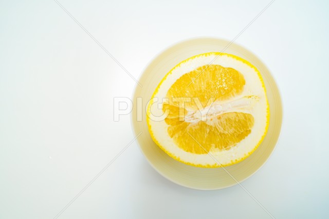 写真のタイトルが入ります