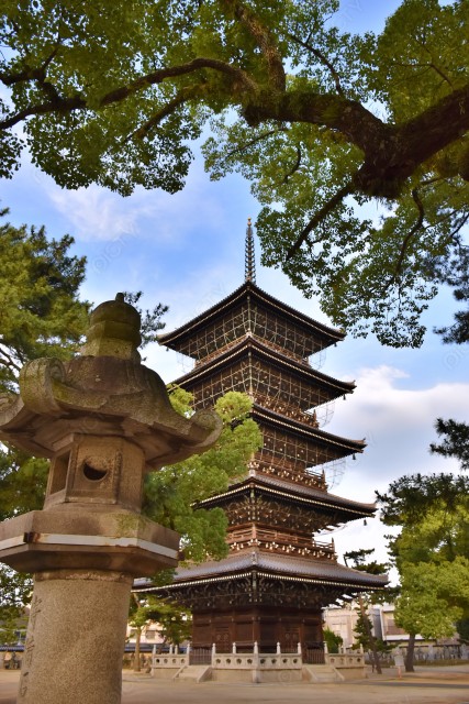写真のタイトルが入ります