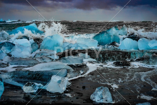 写真のタイトルが入ります