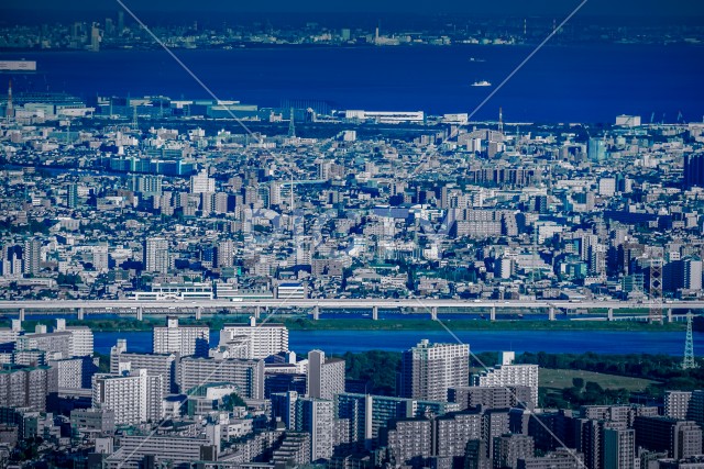 写真のタイトルが入ります