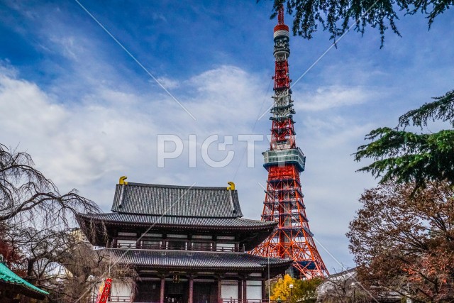 写真のタイトルが入ります