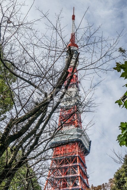 写真のタイトルが入ります