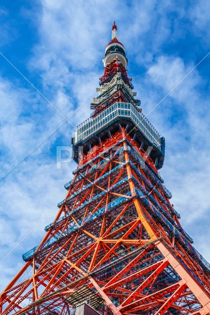 写真のタイトルが入ります