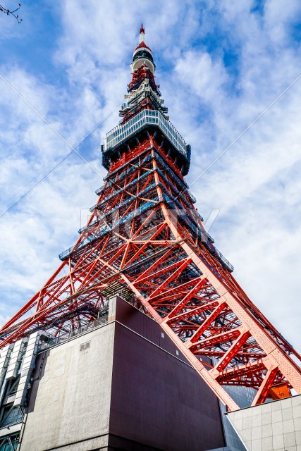 写真のタイトルが入ります