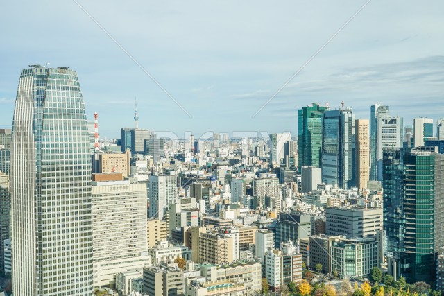 東京タワー展望台から見える東京の街並み