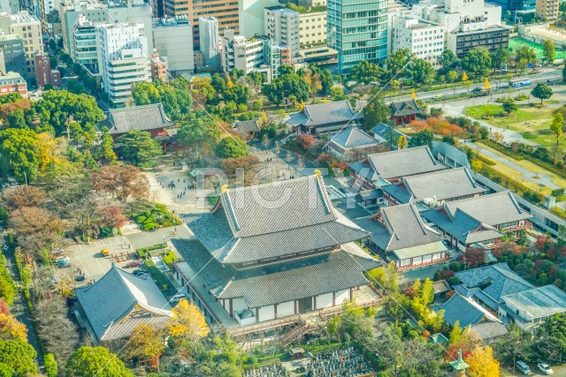 写真のタイトルが入ります