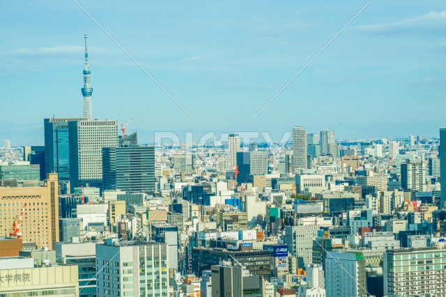 東京タワー展望台から見える東京の街並み