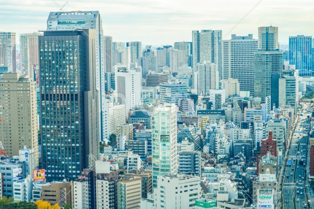 写真のタイトルが入ります