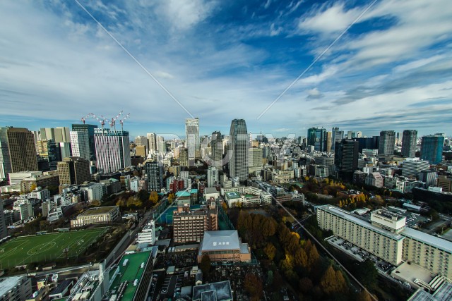 東京タワー展望台から見える東京の街並み