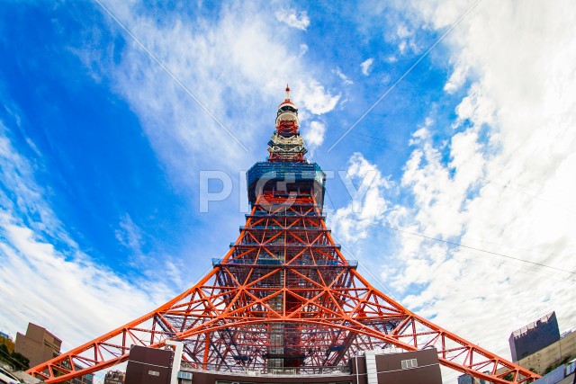 東京タワーと青空