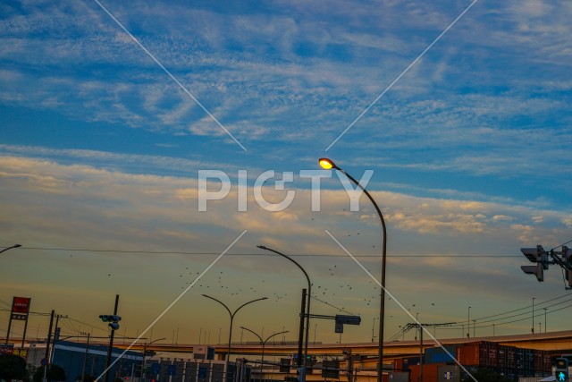 写真のタイトルが入ります
